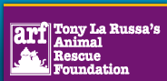 arf-logo.gif